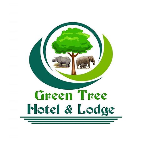 Green Tree Hotel And Lodge 索拉哈 外观 照片